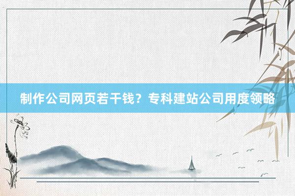 制作公司网页若干钱？专科建站公司用度领略