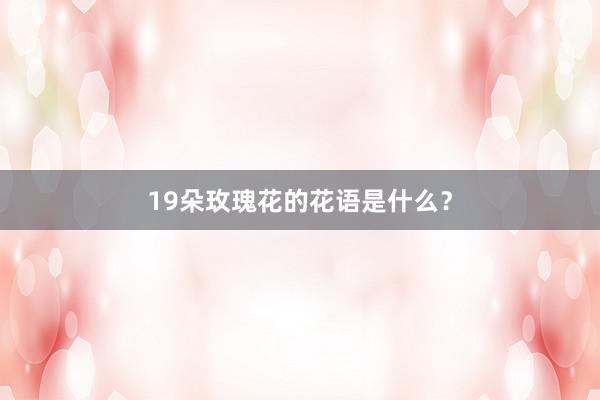 19朵玫瑰花的花语是什么？